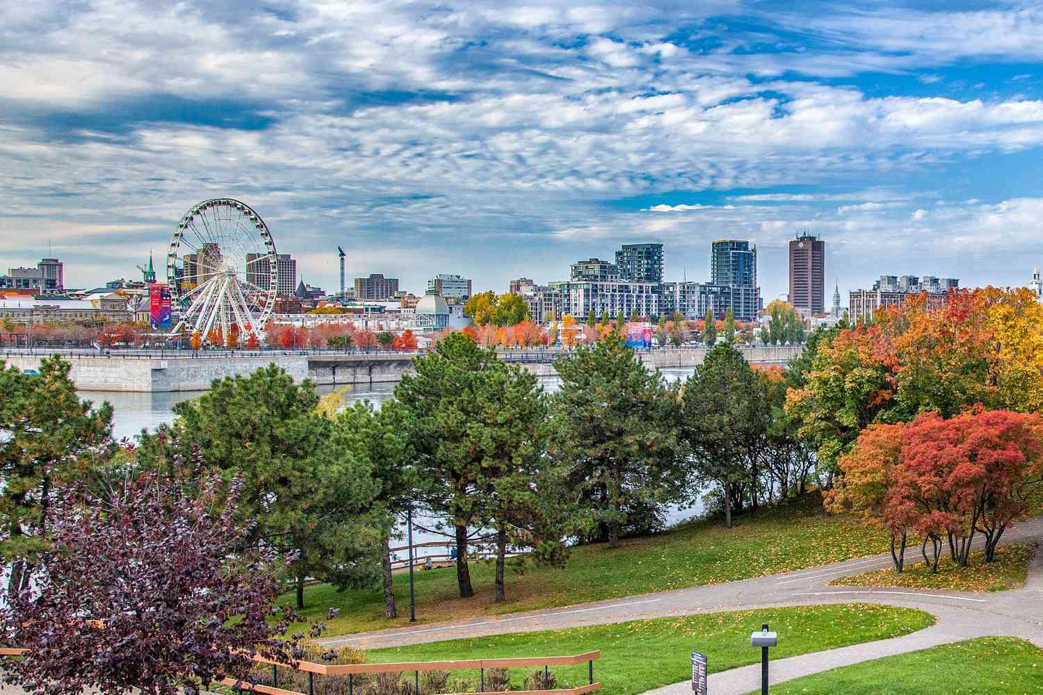 Montreal cityscape